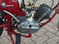 Thumb Image 1